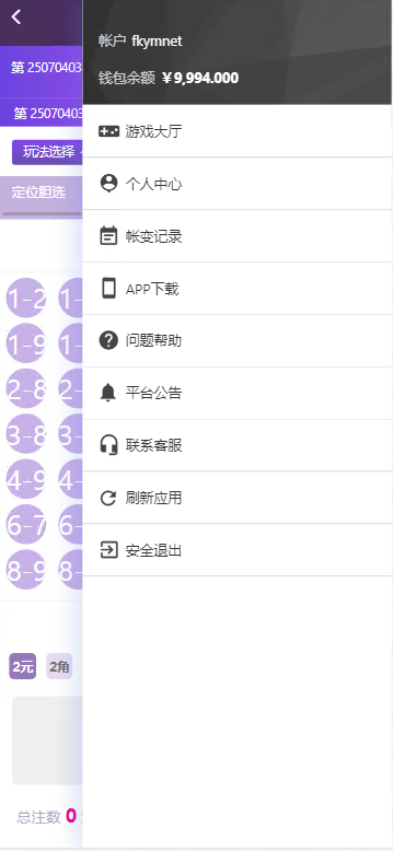 图片[7]-天恒杏彩系统、香港赛马。幸运飞艇源码/PK10/极速飞车程序可二开采集修复-凡客源码