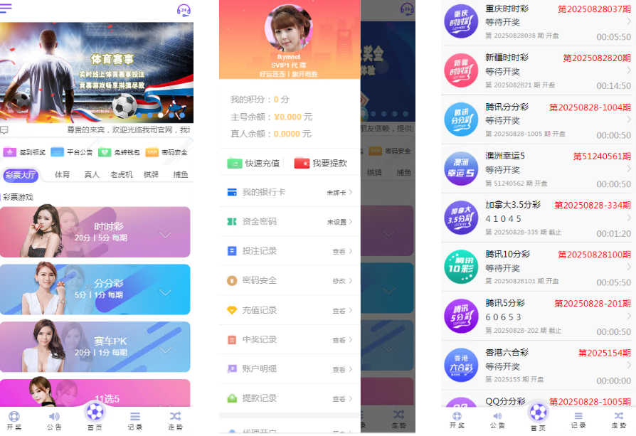 菠菜源码亚通二开修复版+余额宝生利、传统信用双玩法+独立代理端后台、采集修复、预留真人电子棋牌的接入-凡客源码