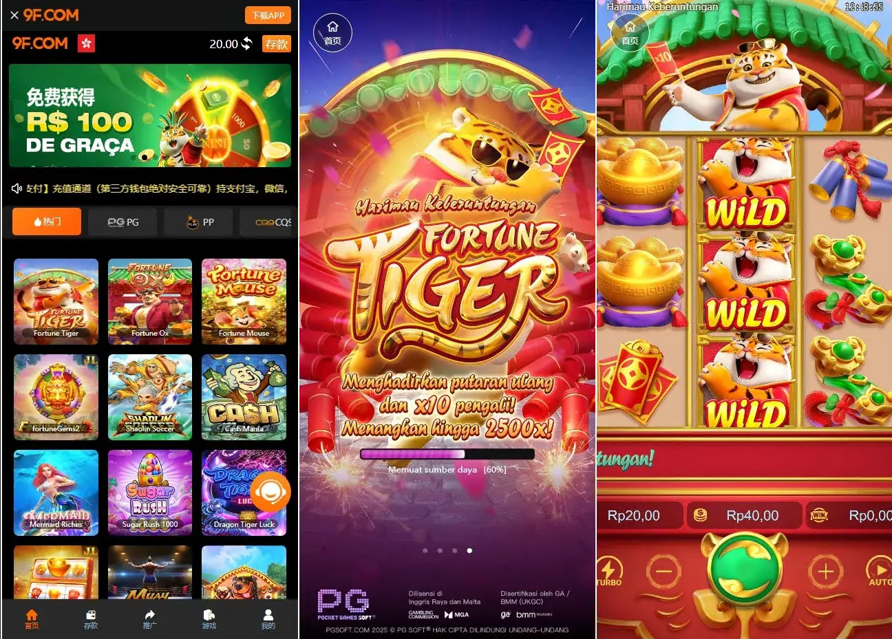 XG接口.升级版巴西PG海外包网接口可控+真人游戏+棋牌游戏+老虎机+拉霸+多语言PGH5娱乐城-凡客源码